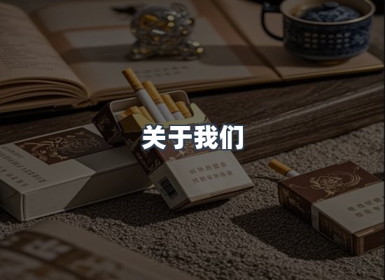 关于我们
